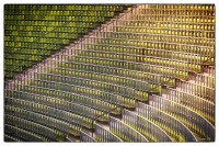 Olympiastadion München