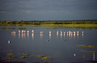 Tansania_021
