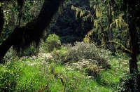 Tansania_050