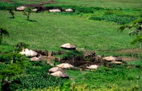 Afrika - Tansania (1998)