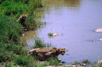 Tansania_083