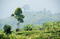 Uganda_047