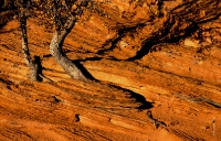 Canyonlands_023