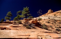 Canyonlands_030