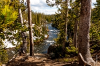 Yellowstone_uA_031