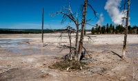 Yellowstone_uA_037