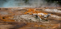 Yellowstone_uA_038