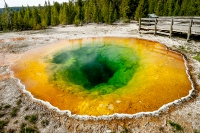 Yellowstone_uA_045