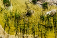 Yellowstone_uA_048