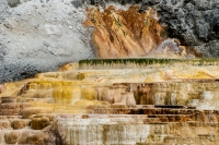 Yellowstone_uA_057