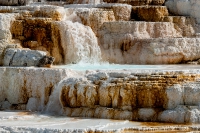 Yellowstone_uA_060