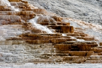 Yellowstone_uA_063