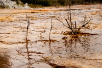 Yellowstone_uA_073