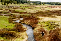 Yellowstone_uA_079