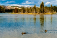 Amerika - USA Yellowstone (2013)