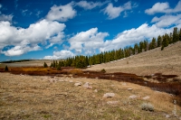 Yellowstone_uA_082