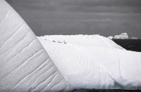 Antarktis (Winter 1998-1999)