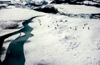 Antarktis (Winter 1998-1999)
